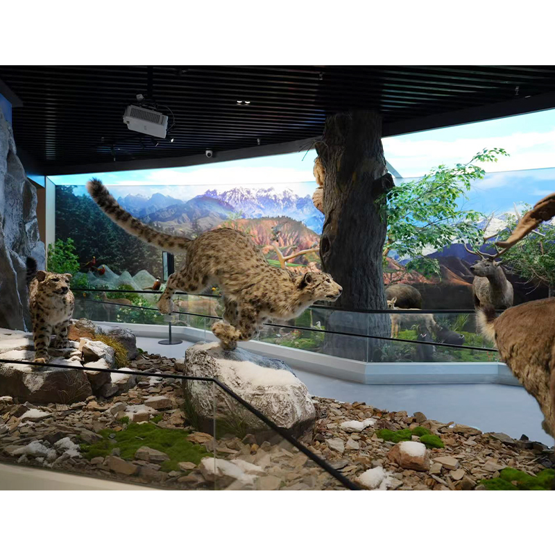 Production And Construction Services For Various Exhibition Halls
