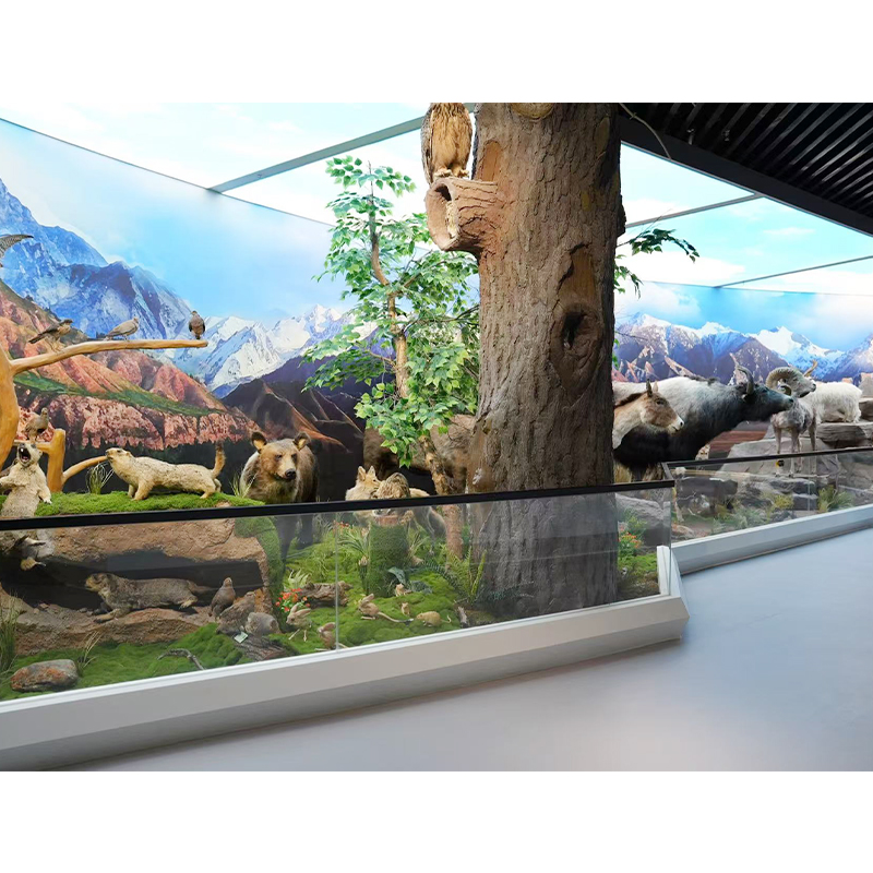 Production And Construction Services For Various Exhibition Halls